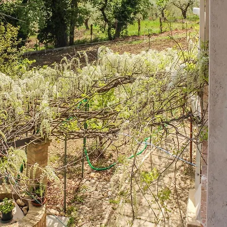 La Casa Di Pippo Villa Pollutri