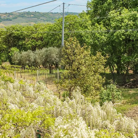 La Casa Di Pippo *