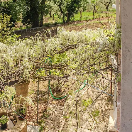 La Casa Di Pippo *