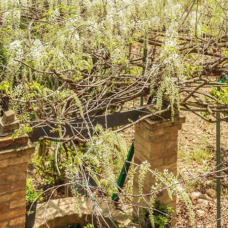 La Casa Di Pippo *